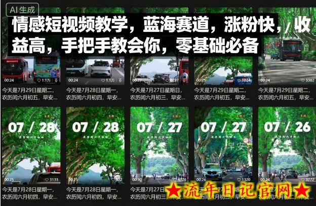 情感短视频教学，蓝海赛道，涨粉快，收益高，手把手教会你，零基础必备-流年日记