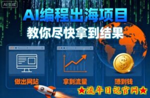 AI编程出海项目,教你尽快拿到结果-做出网站、拿到流量、賺到钱-流年日记