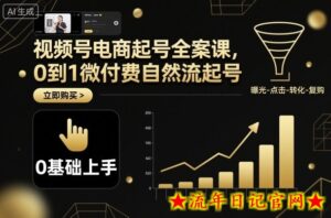 视频号电商起号全案课,0到1微付费自然流起号-流年日记