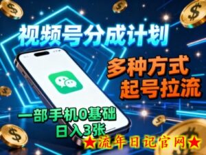 视频号分成计划,多种方式起号拉流,一部手机0基础日入3张-流年日记