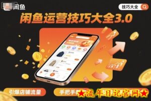 闲鱼运营技巧大全3.0，引爆店铺流量，手把手教你玩转二手电商平台-流年日记