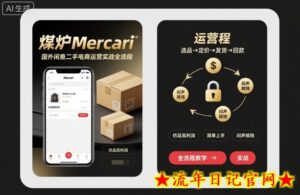 煤炉Mercari国外闲鱼二手电商运营实战全流程，仿品高利润，简单上手，闷声搞钱-流年日记