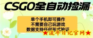 自动挂G捡漏，不用自己挂G不用玩游戏，一个手机即可操作，新手小白轻松月入1W+【揭秘】-流年日记