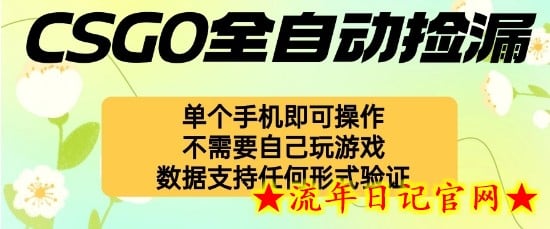 自动挂G捡漏，不用自己挂G不用玩游戏，一个手机即可操作，新手小白轻松月入1W+【揭秘】-流年日记