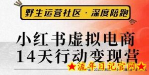 小红书虚拟电商14天变现训练营3.0,虚拟产品,2025年普通人在小红书最后的搞钱机会-流年日记