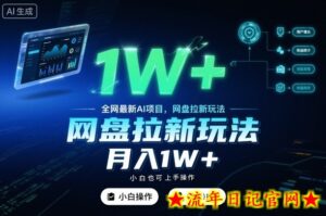 全网最新AI项目，网盘拉新玩法，小白也可上手操作，月入1W+【揭秘】-流年日记