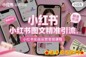 小红书图文精准引流,小红书实战运营变现课程-流年日记