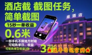 酒店截图任务,简单截图,15秒一单收益0.6米,一部手机不限地方时间,可矩阵单日收益3张【揭秘】-流年日记