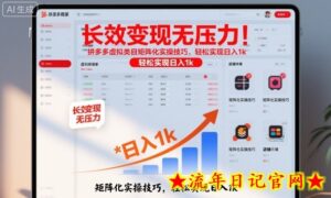 长效变现无压力!拼多多虚拟类目矩阵化实操技巧,轻松实现日入1k【揭秘】-流年日记