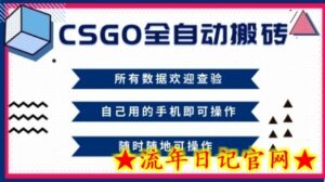 CSGO全自动搬砖，年底钱回家好项目，当天可拿到结果，新手小白轻松月入1W+【揭秘】-流年日记