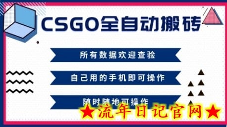 CSGO全自动搬砖，年底钱回家好项目，当天可拿到结果，新手小白轻松月入1W+【揭秘】-流年日记