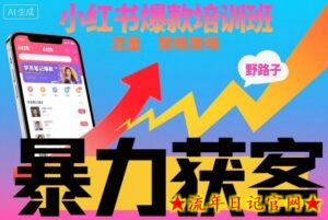 小红书爆款培训班，小红书获客野路子流量打法，暴力持续获客-流年日记