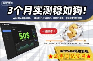 3个月实测稳如狗!wishlba最新项目,一键运行日入50美刀,单窗口躺挣,保姆级教程全给你【揭秘】-流年日记