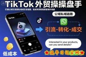 TikTok外贸操盘手,打通公域引流到私域成交全链路,低成本获取高质量海外询盘-流年日记