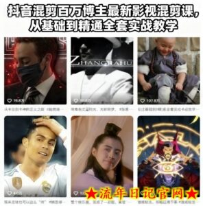 抖音混剪百万博主最新影视混剪课,从基础到精通全套实战教学(更新)-流年日记