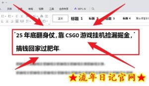 25年底翻身仗,靠CSGO游戏挂G捡漏掘金,搞钱回家过肥年【揭秘】-流年日记
