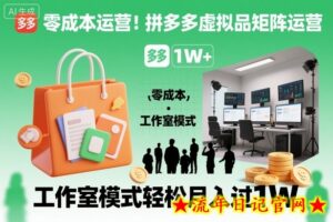 零成本运营!拼多多虚拟品矩阵运营,工作室模式轻松月入过1W-流年日记
