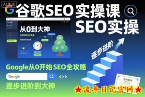 谷歌SEO实操课,Google从0开始SEO全攻略,逐步进阶到大神-流年日记