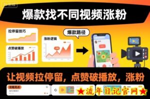 爆款找不同视频涨粉,让视频拉停留,实现点赞,破播放,涨粉-流年日记