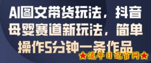 AI图文带货玩法,抖音母婴赛道新玩法,简单操作5分钟一条作品-流年日记