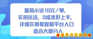 番茄小说10米每单,实拍玩法,0成本好上手,详细实操教程和平台入口适合大部分人-流年日记