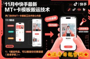 11月中快手最新MT+卡模板搬运技术,1:1搬运作品,可以搬运任何赛道(安卓手机)-流年日记