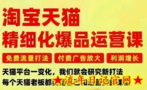 淘宝天猫精细化爆品运营课,免费流量打法-付费广告放大-利润增长-三大核心痛点,一次全部解决-流年日记