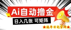 AI自动撸金,日入几张,全自动不占用时间,可矩阵批量放大操作【揭秘】-流年日记