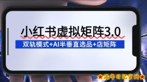 小红书虚拟矩阵3.0：双轨模式+AI半垂直选品+店矩阵-流年日记
