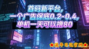 首码新平台，一个广告保底0.2-0.4，单机一天可以撸80，可矩阵操作【揭秘】-流年日记