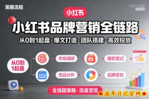 小红书品牌营销全链路，从0到1起盘、爆文打造、团队搭建到高效投放的全链路策略-流年日记