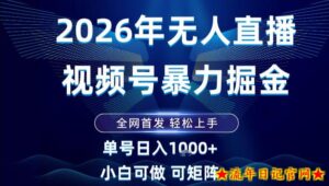 2026最新视频号无人直播掘金,全网首发,小白可以玩,长期稳定日入1k+【揭秘】-流年日记