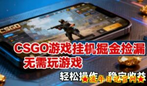 CSGO游戏挂G掘金捡漏,不需要玩游戏,操作简单,收益稳定【揭秘】-流年日记