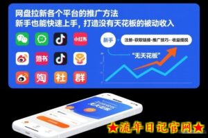 网盘拉新各个平台的推广方法，新手也能快速上手，打造没有天花板的被动收入-流年日记