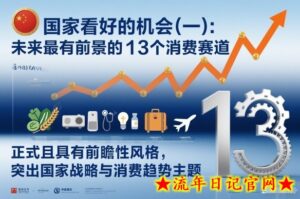 付费文章:国家看好的机会(一):未来最有前景的13个消费赛道-流年日记