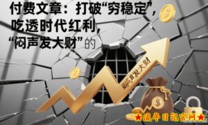 付费文章：打破“穷稳定”，吃透时代红利，“闷声发大财”的终极真谛-流年日记