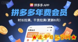 拼多多年费会员,实经验分享操,时长拉满,干货拉满(更新12月)-流年日记