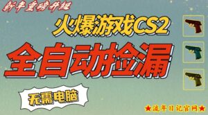 CS2交易市场全自动捡漏賺钱,新年好项目,无需玩游戏,一部手机轻松日入5张,稳定副业【揭秘】-流年日记