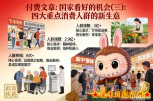付费文章：国家看好的机会(三)：四大重点消 费人群的新生意-流年日记