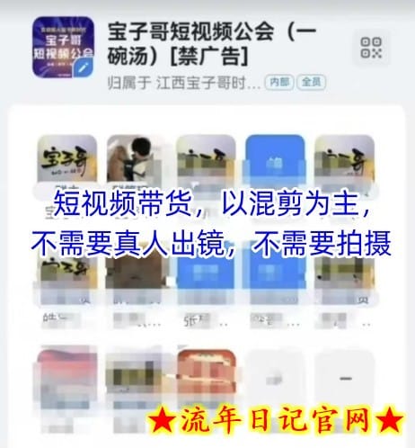 宝子哥头部团队短视频带货，以混剪为主，不需要真人出镜，不需要拍摄【更新12月】-流年日记