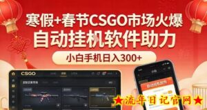 寒假+春节CSGO市场火爆，配合游戏自动挂G软件，小白只用一台手机也可日入3张【揭秘】-流年日记