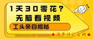 1天30零花？无脑看视频，大佬亲自揭秘-流年日记
