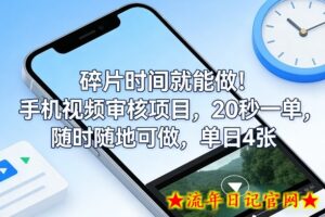 碎片时间就能做！手机视频审核项目，20秒一单，随时随地可做，单日4张+【揭秘】-流年日记