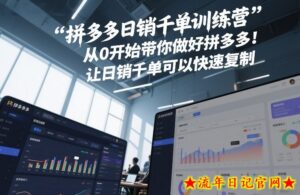 拼多多日销千单训练营，从0开始带你做好拼多多，让日销千单可以快速复制(更新26年2月)-流年日记