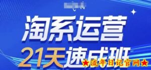 淘系运营21天速成班，0基础轻松搞定淘系运营，不做假把式，快速复制落地(更新26年2月)-流年日记