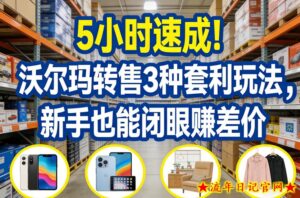 5小时速成！沃尔玛转售3种套利玩法，新手也能闭眼賺差价-流年日记