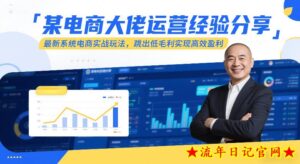 某电商大佬运营经验分享，最新系统电商实战玩法，跳出低毛利实现高效盈利（更新）-流年日记