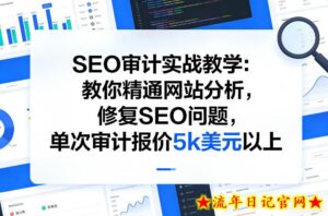 SEO审计实战教学：教你精通网站分析，修复SEO问题，单次审计报价5k美元以上-流年日记