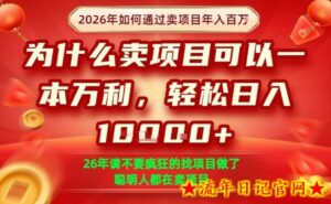 一单净利润1K+，26年想年入100个W，死磕卖项目就够了【揭秘】-流年日记