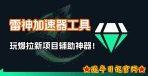 雷神加速器项目模拟器_无脑1分钟1条视频矩阵_疯狂报单打法【焚诀】-流年日记